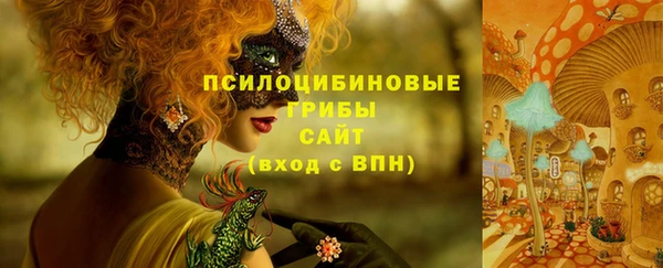 прущий лед Алзамай